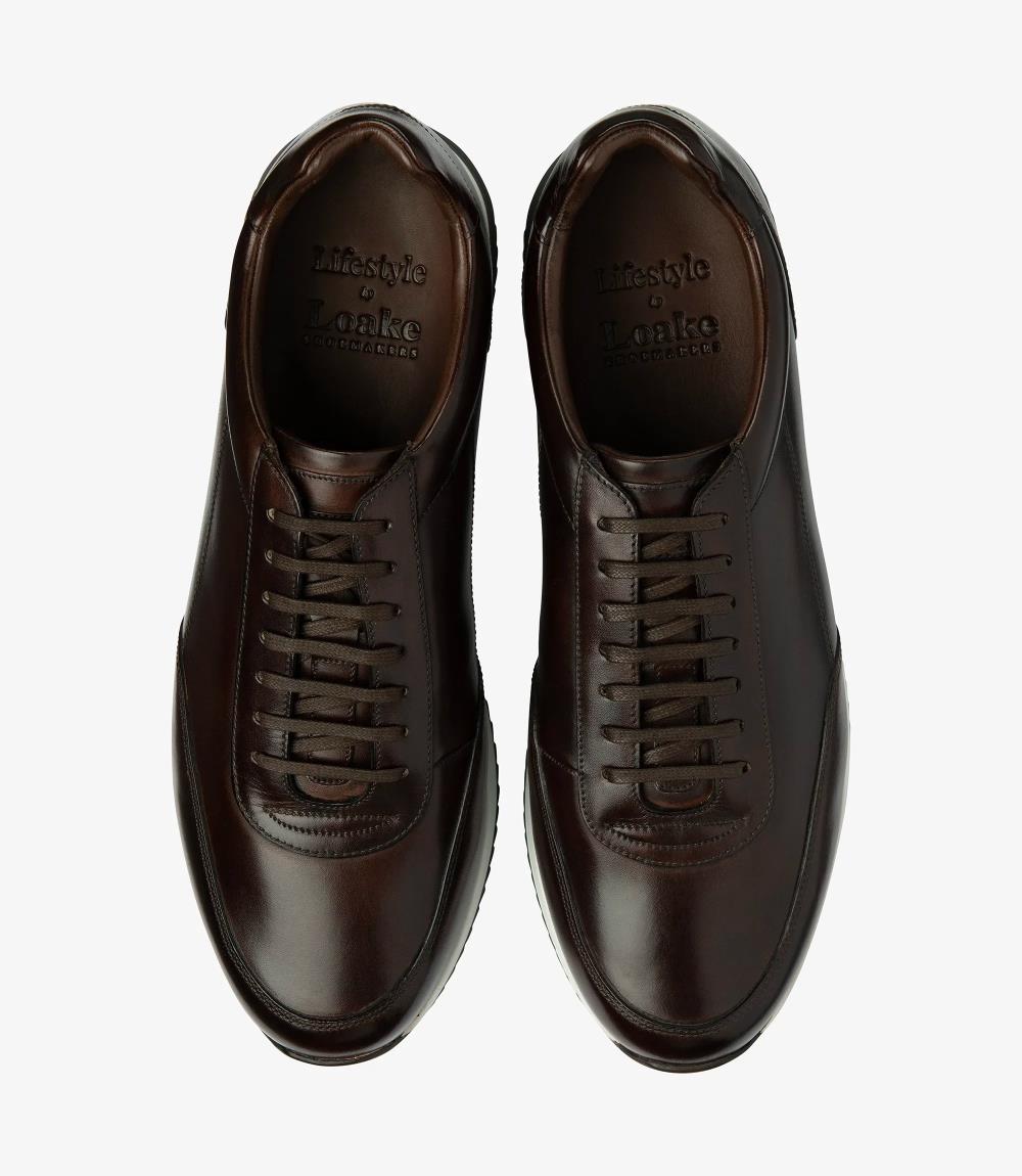 A bird's-eye view presenting a pair of Loake Bannister Dark Brown Leather Trainers, perfectly aligned to showcase their symmetrical design and meticulous craftsmanship. The rich brown leather and fine stitching details are evident from this perspective, epitomizing timeless style and refinement.