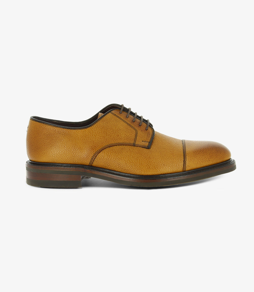 A close-up view of the shoe’s profile shows the rich chestnut color of the hand-painted grain burnished leather, accentuated by a defined toe cap and classic derby lacing. The slight sheen on the leather highlights its high-quality finish and craftsmanship.
